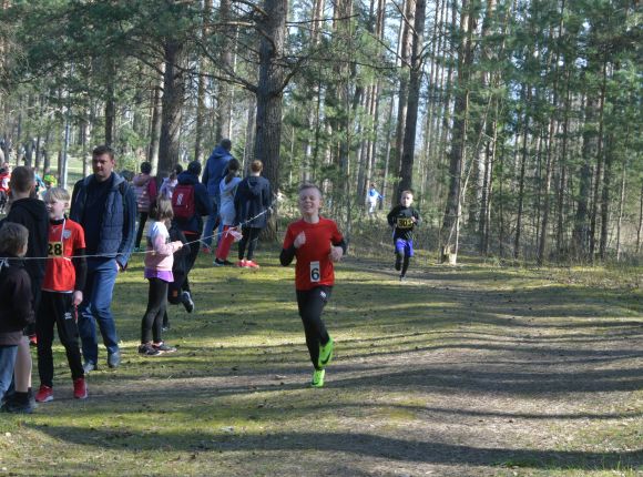 Skolu sporta pavasara kross