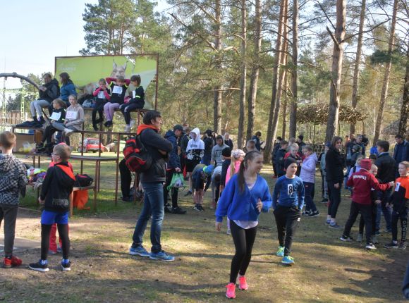 Skolu sporta pavasara kross