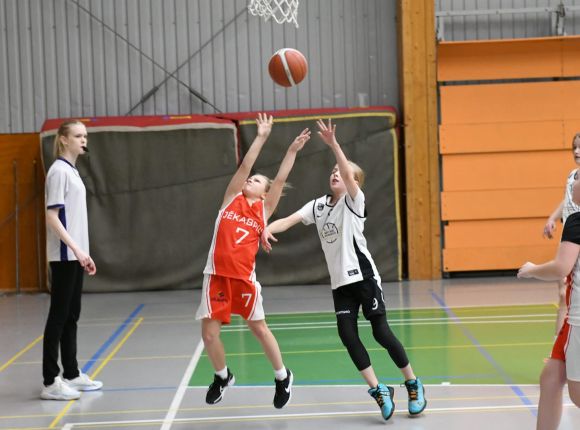 LJBL MINI kauss U11 vecuma grupas meitenēm (Cēsis_29.12.2024.)