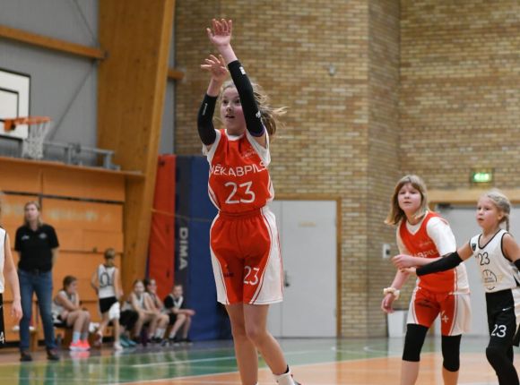 LJBL MINI kauss U11 vecuma grupas meitenēm (Cēsis_29.12.2024.)
