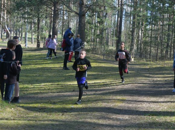 Skolu sporta pavasara kross
