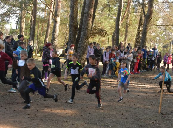 Skolu sporta pavasara kross