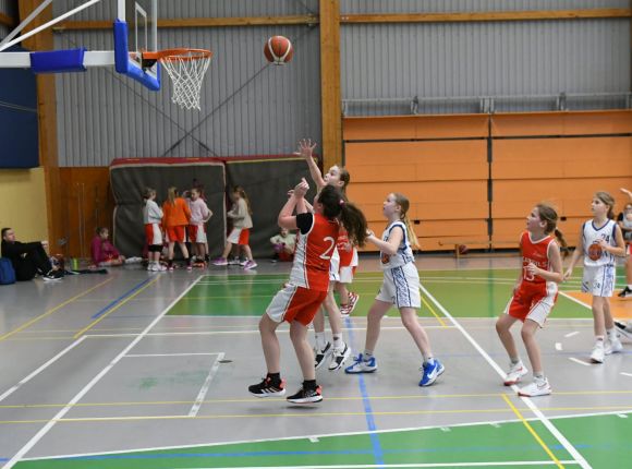 LJBL MINI kauss U11 vecuma grupas meitenēm (Cēsis_29.12.2024.)