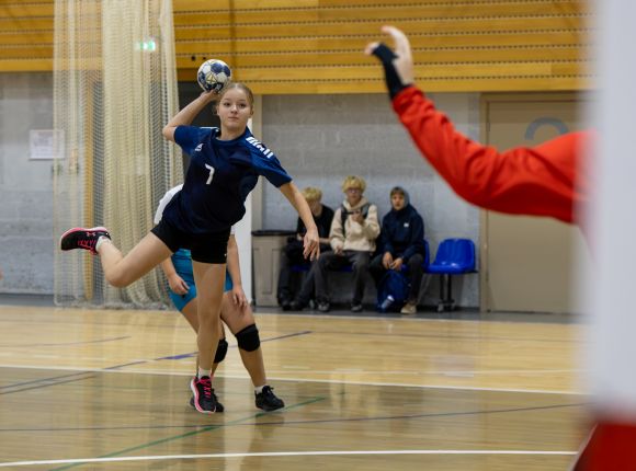 Handbola turnīrs ''25.Salaspils kauss''_26.-27.09.2026.
